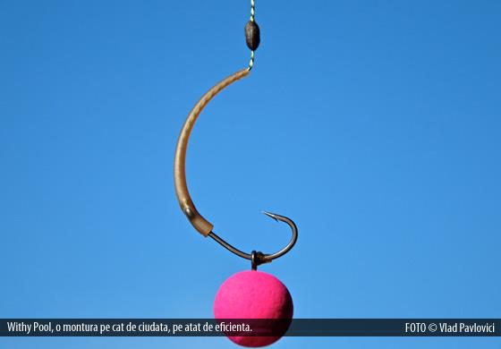 Riguri - montura-whity-pool.jpg